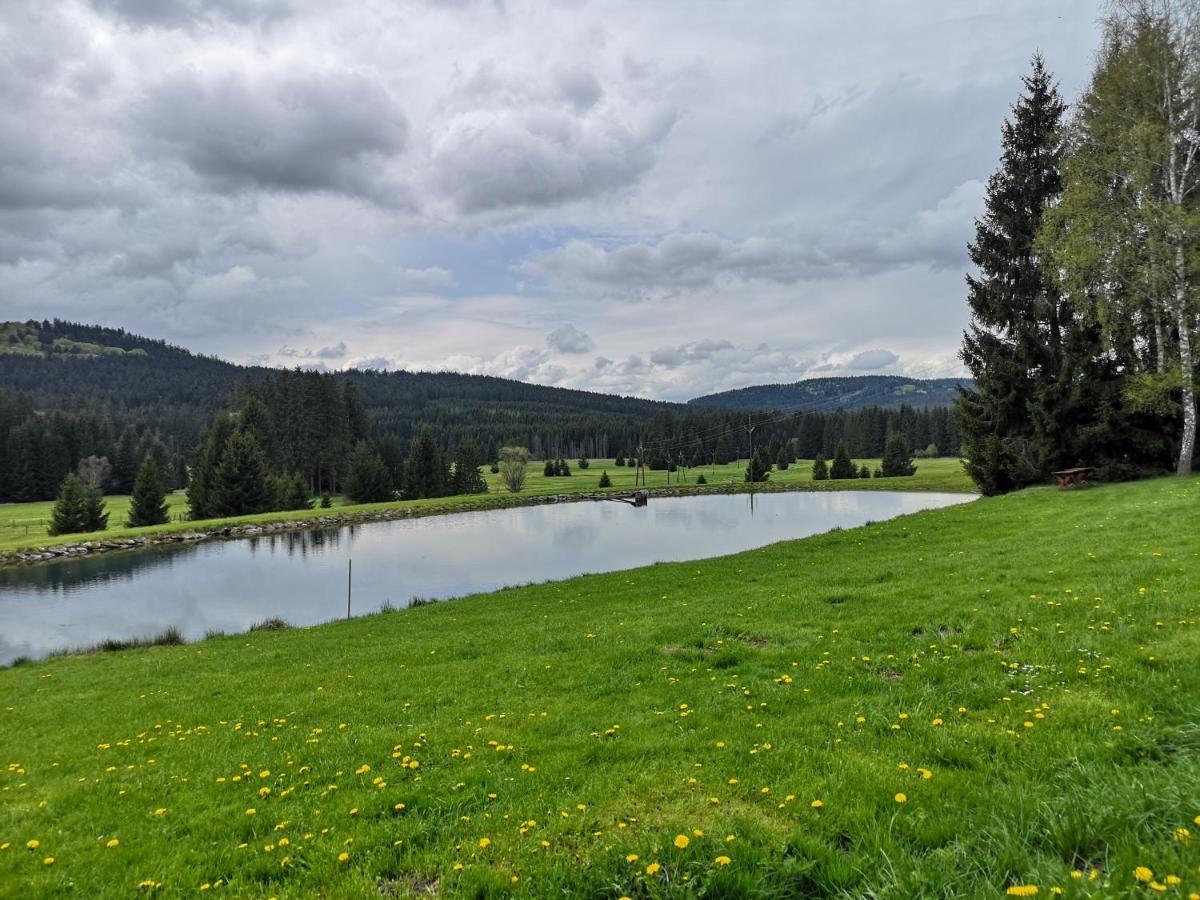 Apartment Pohoda U Zofina