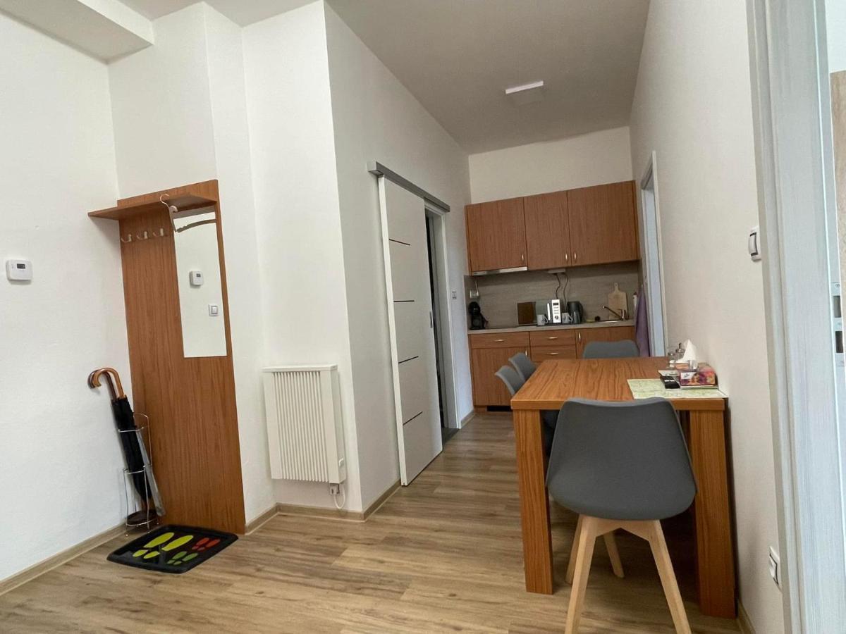 Pohoda U Zofina Apartment Benesov nad Cernou