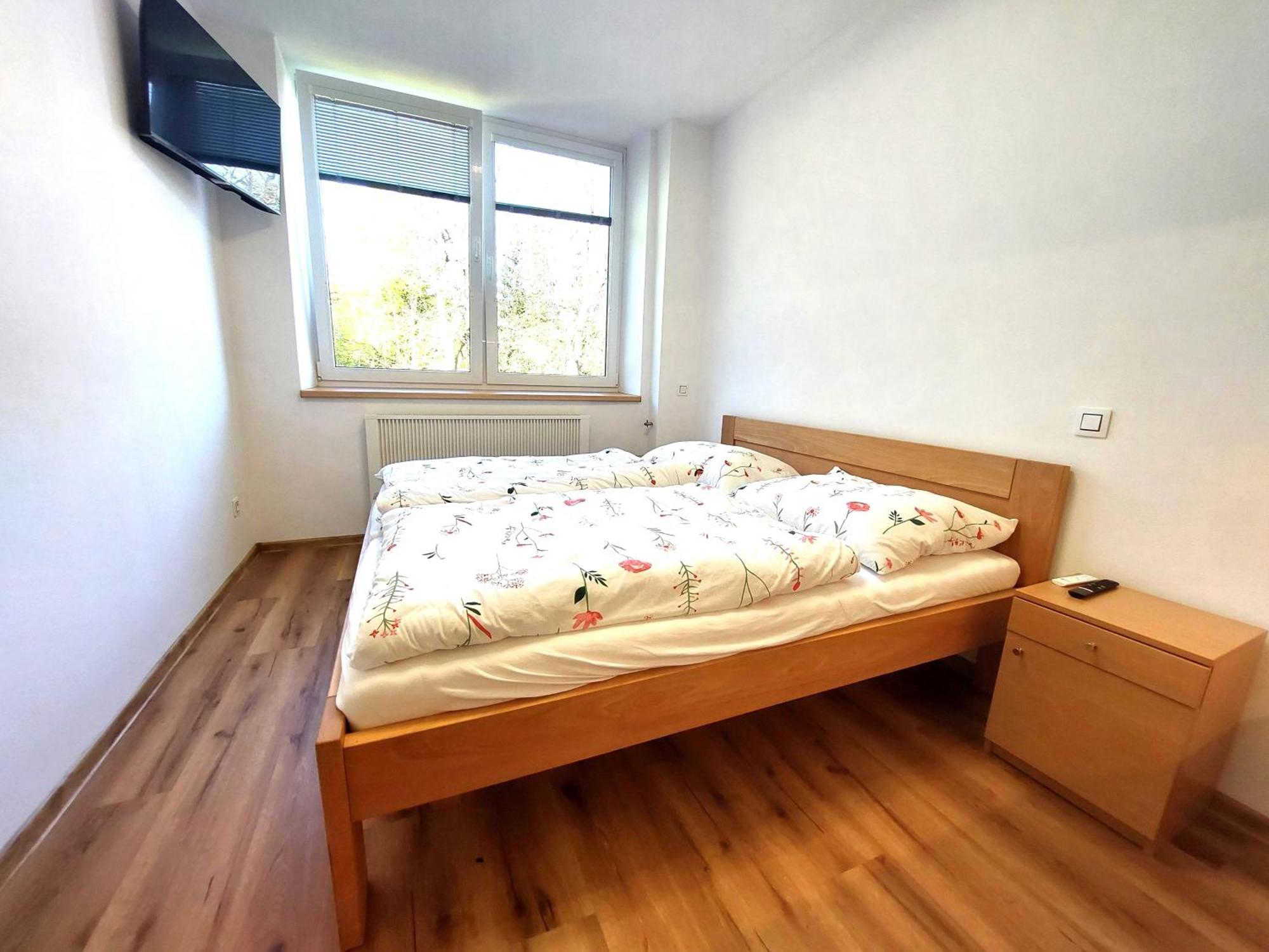 Apartment Pohoda U Zofina Benesov nad Cernou