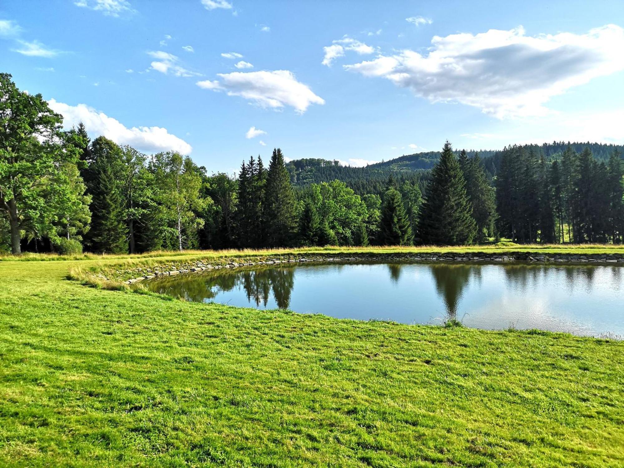 Apartment Pohoda U Zofina Benesov nad Cernou